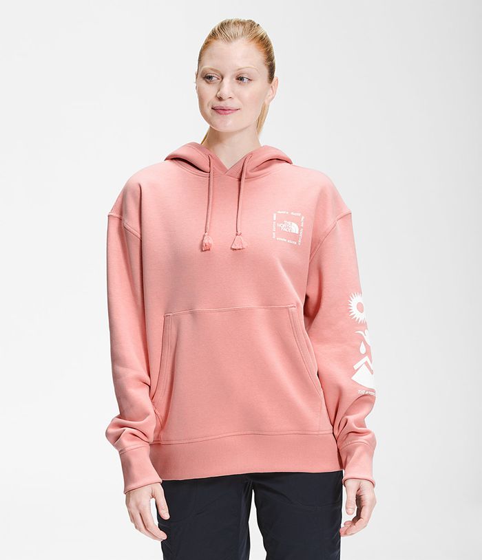 The North Face Hoodie Dames Himalayan Bottle Source Pullover KQFG87105 - Roze